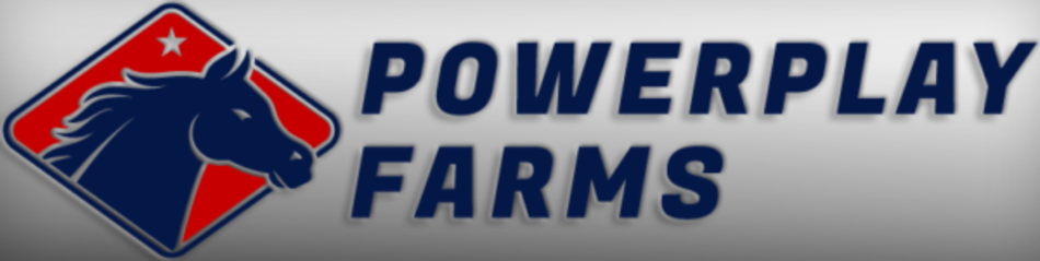 Consigned by Powerplay Farms